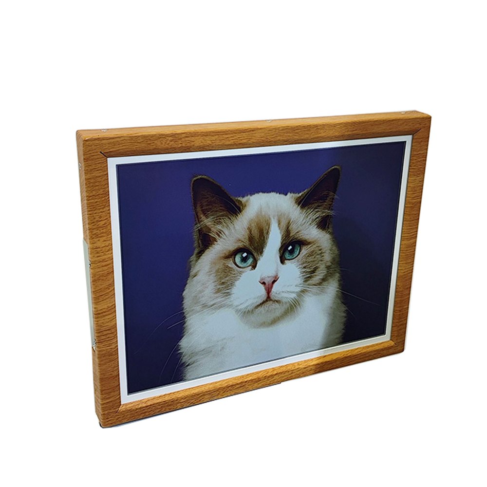 A finished colour E-Ink art frame in a wooden moulding displaying a photograph